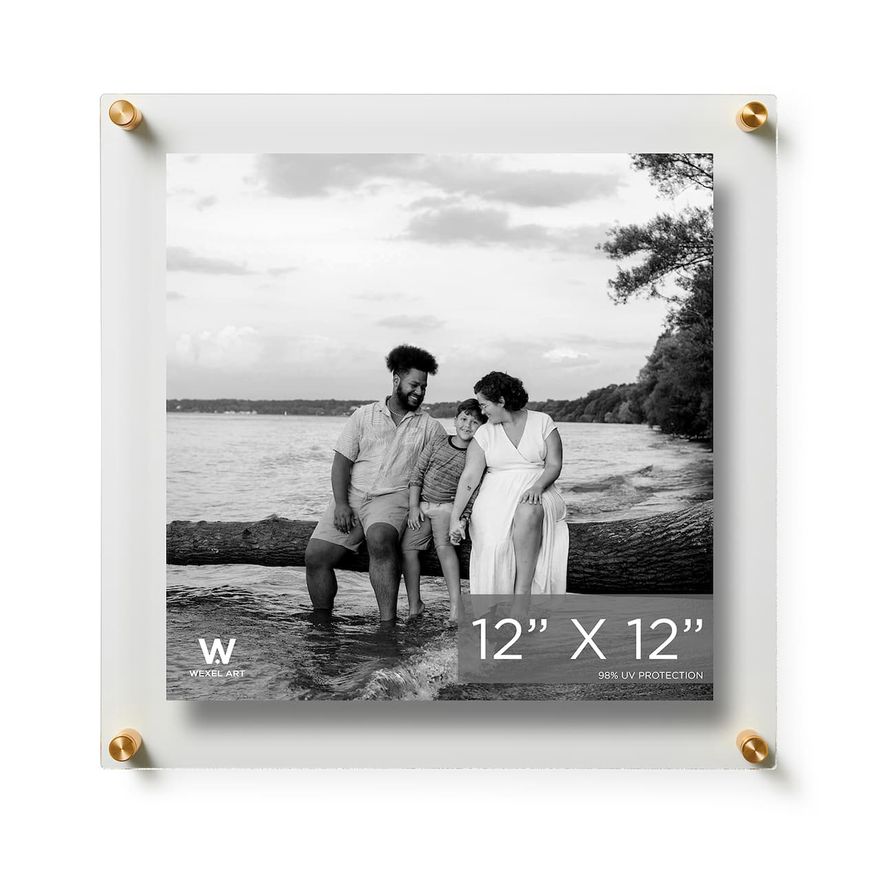 Wexel Art Double Panel Clear Acrylic Floating Wall Frame with Gold Hardware